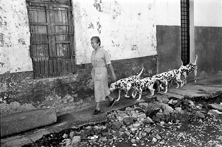 La Mujer de los Dalmatas / The Dalmatian Women, Orizaba, Veracruz, México, 1982